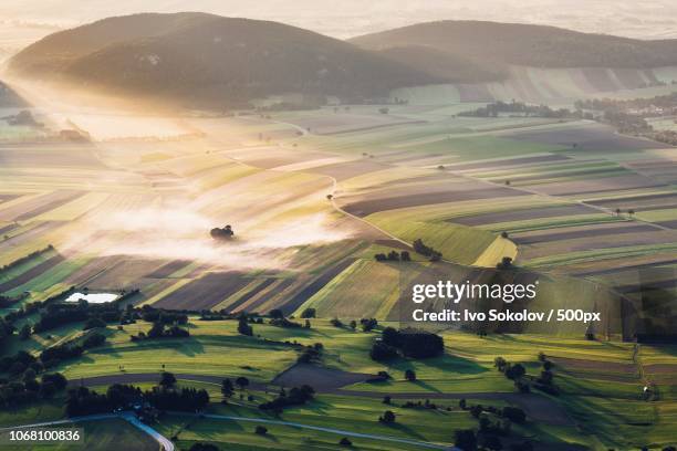 aerial view of rural landscape at sunrise, wiener neustadt, austria - 下奧地利州 個照片及圖片檔