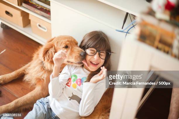 golden retriever licking girl's face - kid face dog lick fotografías e imágenes de stock