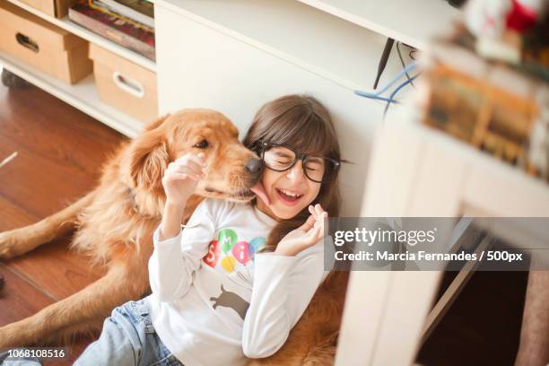 golden retriever licking girl's face - lamber imagens e fotografias de stock
