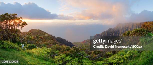 scenic landscape of tropical island - ghana photos et images de collection