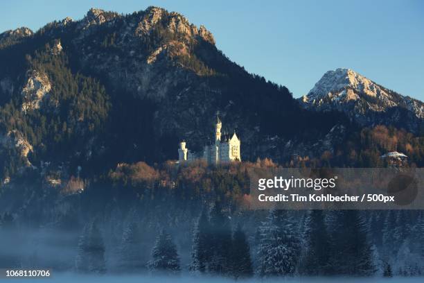 schwangau, germany - neuschwanstein stock pictures, royalty-free photos & images