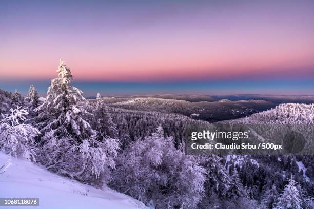 landscape with forest on mountainside in winter at sunset - schwarzwald foto e immagini stock