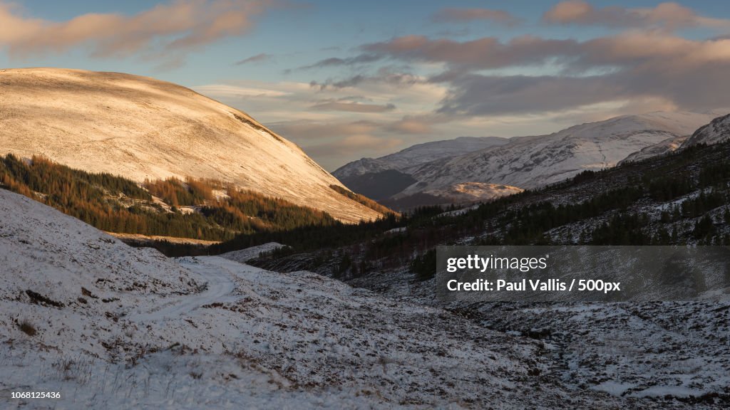 Landscape with mountain and snowy forest