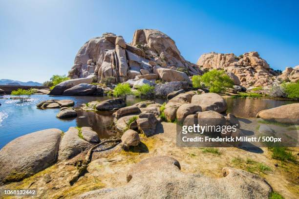 twentynine palms, united states - palm springs california stock pictures, royalty-free photos & images