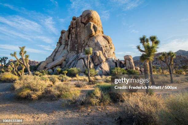 rock formation in desert landscape - palm springs california stock pictures, royalty-free photos & images