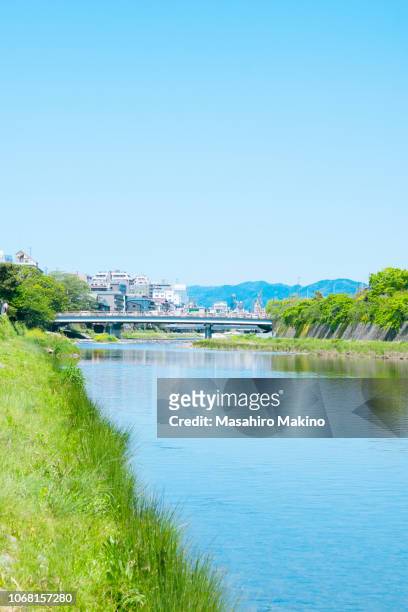 spring view of kamo river, kyoto city - rivier gras oever stockfoto's en -beelden