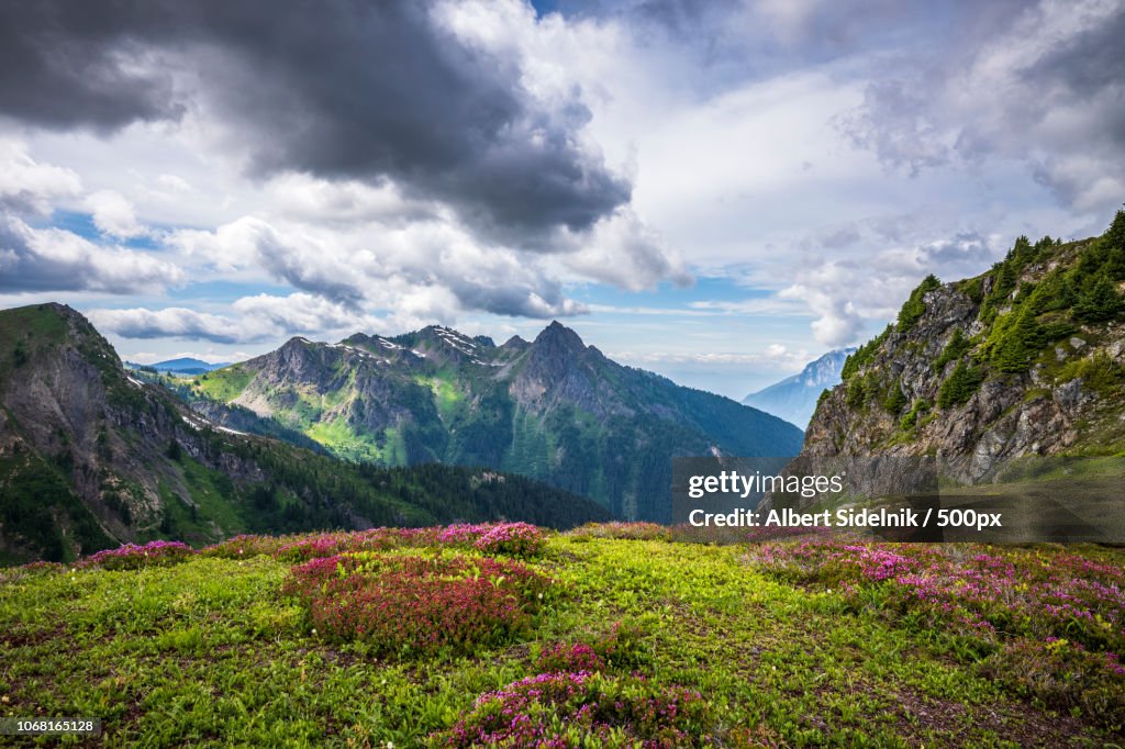 Mount baker national forest