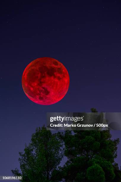 blood moon on night sky - eclipse-lunar-total imagens e fotografias de stock