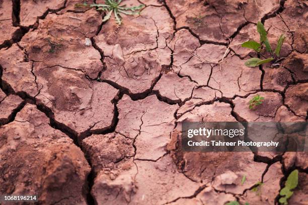 dry cracked earth - lake bed 個照片及圖片檔