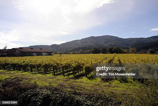 Atmosphere on the Napa Valley Wine Train at Aloft Hotels Presents Live in the Vineyard on November 13, 2010 in Napa, California.