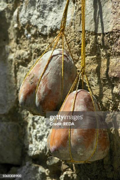 Preparation of provolone del monaco, Naples, Campania, Italy.