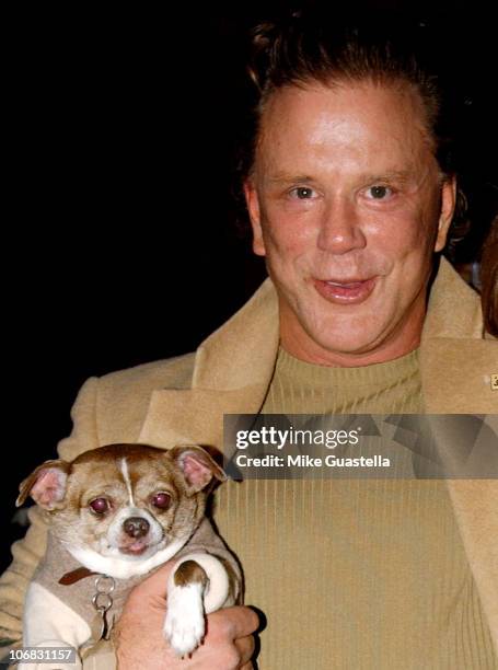 Mickey Rourke during The 2005 Annual Lint Roller Party Benefiting Los Angeles Animals - Arrivals and Event at Hollywood Roosevelt Hotel in Hollywood,...