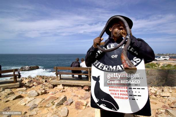 Whale Crier statue, Hermanus, Walker Bay, South Africa, Africa.