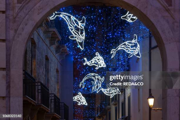 Artist lights in Salerno, historical center, Christmas, Luci dArtista, Campania, Italy, Europe.