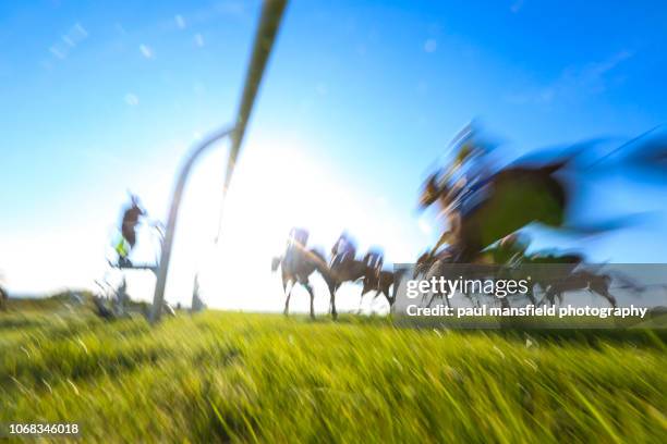 blurred motion of horse racing - horse racing stock pictures, royalty-free photos & images