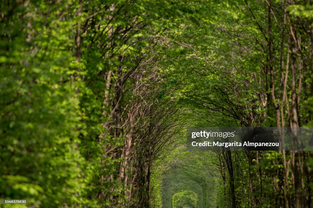 The Tunnel of Love in Ukraine