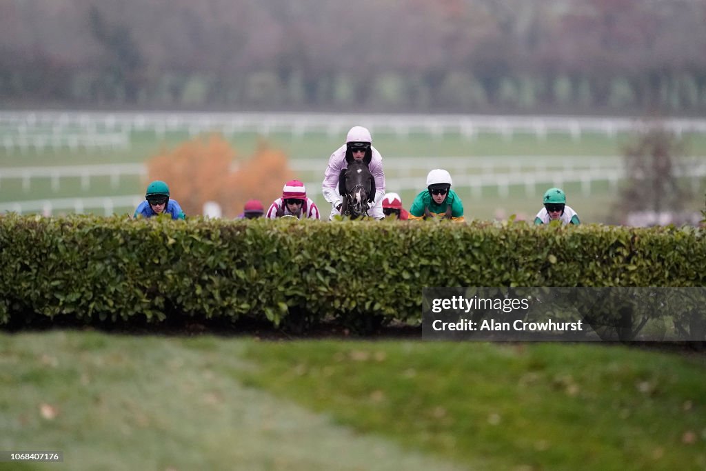 Cheltenham Races