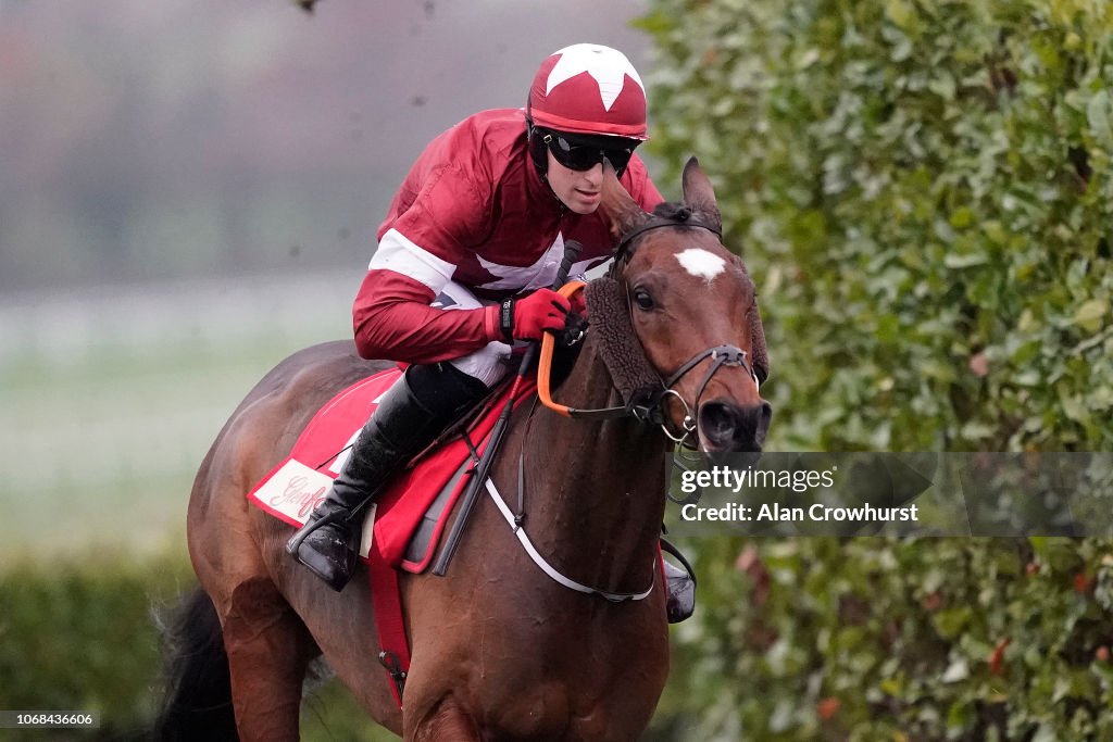 Cheltenham Races