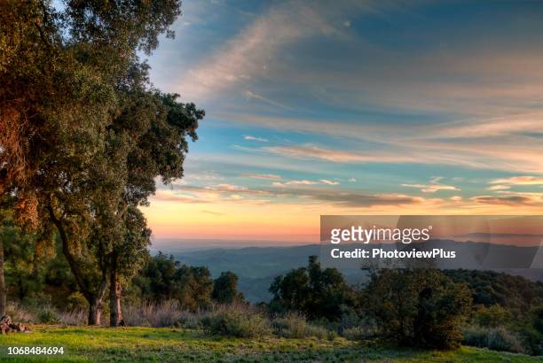 view towards the channel islands from the hills of ojai, before the fires - オーハイ ストックフォトと画像