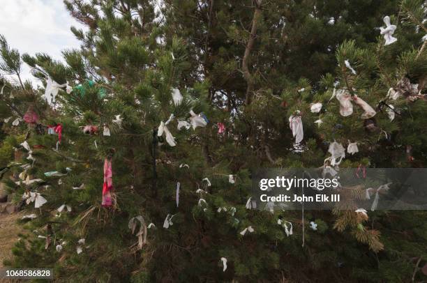 offerings tied to tree at sevanavank monastery - sevanavank monastery stock pictures, royalty-free photos & images