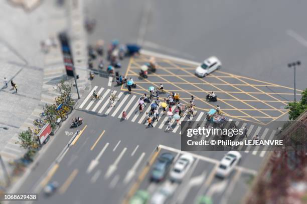 pedestrians walking on a crosswalk aerial view - tilt shift stock pictures, royalty-free photos & images