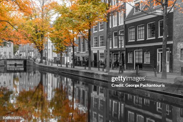 autumn colors in amsterdam - touche de couleur photos et images de collection