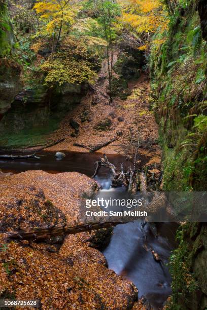 Devil's Pulpit on the 3rd November 2018 in Dumgoyn in the United Kingdom. Long exposure of Devil's Pulpit waterfall.