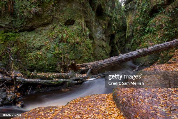 Devil's Pulpit on the 3rd November 2018 in Dumgoyn in the United Kingdom. Long exposure of Devil's Pulpit waterfall.