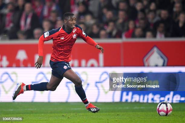 Fode Ballo Toure of Lille during the French League 1 match between Lille v Olympique Lyon at the Stade Pierre Mauroy on December 1, 2018 in Lille...