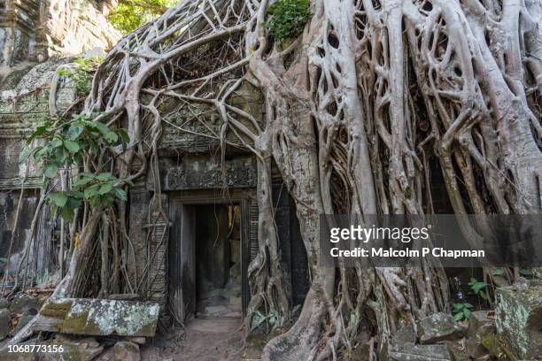 overgrown doorway at ta prohm temple in ankgor, siem reap, cambodia also known as rajaviharain or 'jungle temple' - cambodian stock pictures, royalty-free photos & images