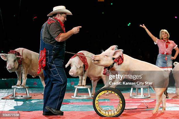 Grumpy Kansas Pork Chop Review Photos and Premium High Res Pictures - Getty Images