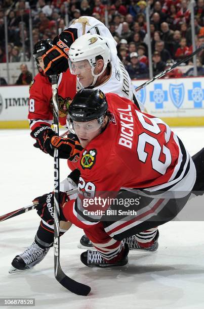 Bryan Bickell of the Chicago Blackhawks and Saku Koivu of the Anaheim Ducks skate toward the puck on November 14, 2010 at the United Center in...