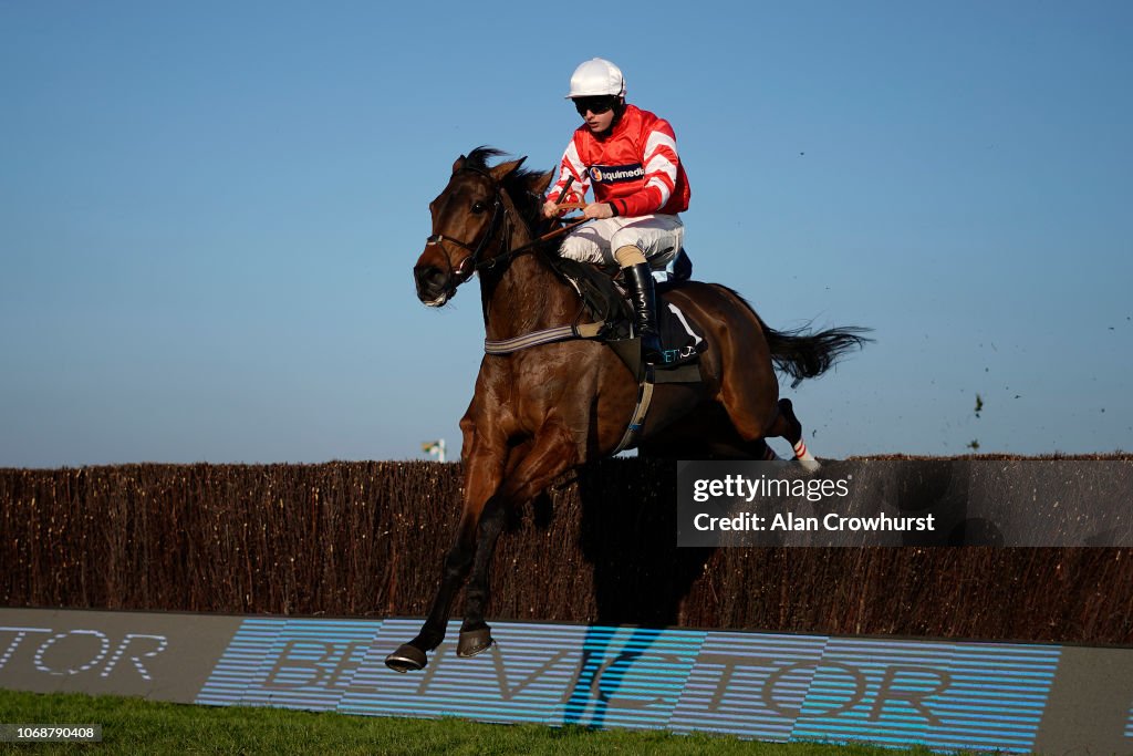 Cheltenham Races