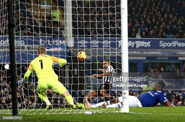 Salomon Rondon of Newcastle United scores his team's first goal past Jordan Pickford of Everton during the Premier League match between Everton FC...