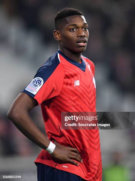 Rafael Leao of Lille during the French League 1 match between Lille v Olympique Lyon at the Stade Pierre Mauroy on December 1, 2018 in Lille France