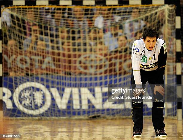 Slawomir Szmal of Rhein Neckar looks dejected during the Toyota HBL Bundesliga game between SG Flensburg-Handewitt and Rhein Neckar Loewen at the...