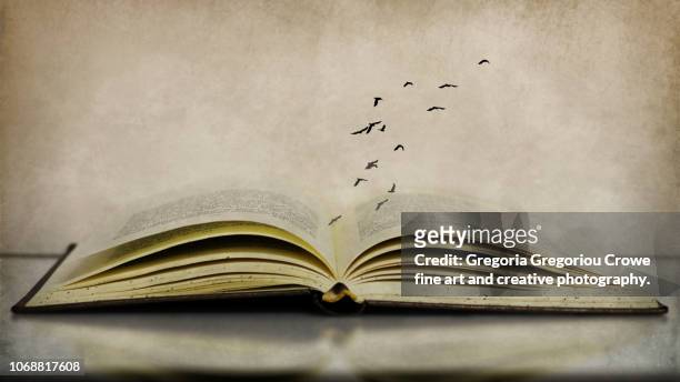 birds flying over book - gregoria gregoriou crowe fine art and creative photography. imagens e fotografias de stock