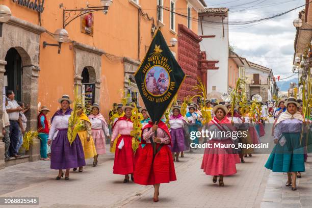 mensen met veelkleurige jurken en hoeden marcheren tijdens de viering van de palmzondag van pasen in de stad ayacucho, peru. - palm sunday procession stockfoto's en -beelden