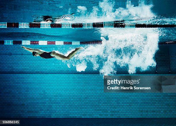 female swimmer underwater in pool - swimming stock-fotos und bilder