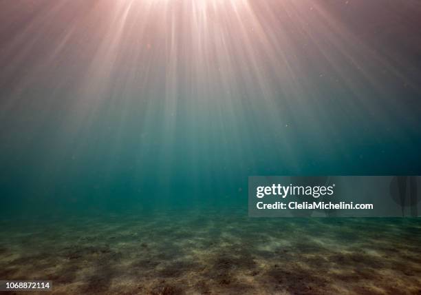 underwater sunset - oceaanbodem stockfoto's en -beelden