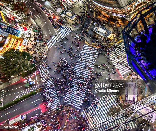 aerial view shibuya crossing tokyo - drone point of view photos stock pictures, royalty-free photos & images