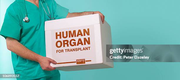 doctor with human transplant container - transplant surgery stock pictures, royalty-free photos & images