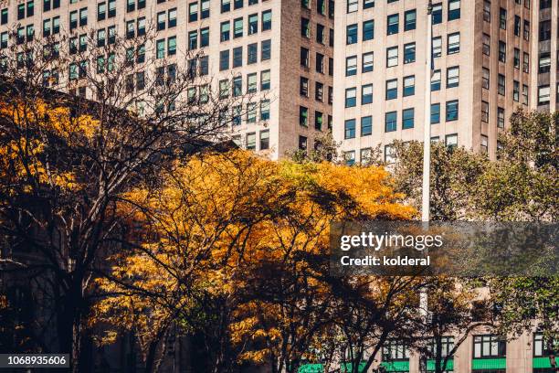 fifth avenue at autumn - taking a vintage ny taxi cab stock pictures, royalty-free photos & images