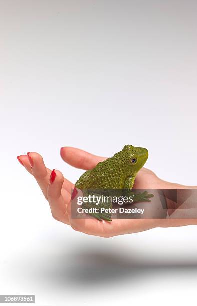 frog in palm of hand - woman frog hand stockfoto's en -beelden