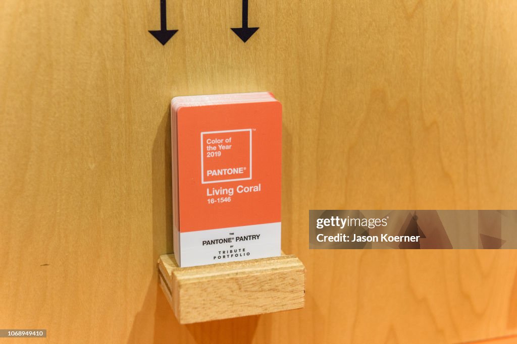 Art Basel Miami Beach 2018 - Pantone Pantry by Tribute Portfolio Preview