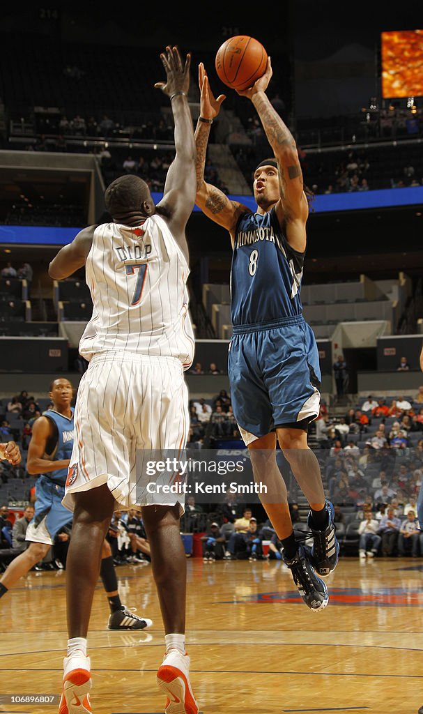 Minnesota Timberwolves v Charlotte Bobcats