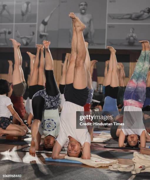 Iyengar Memorial Goya Institute organised a practical session of Iyengar Yoga for 1200 students from 56 countries at Balewadi sports complex, on...