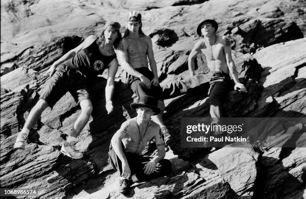 Portrait of the Red Hot Chili Peppers, clockwise from upper left, Chad Smith, Anthony Kiedis, John Frusciante, and Flea in Central Park in New York,...