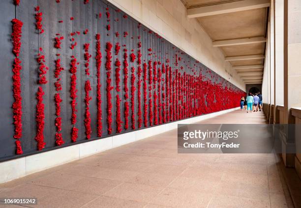the australian war memorial - canberra museum stock pictures, royalty-free photos & images