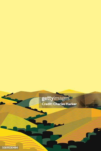 california summer hills landscape illustration - vineyard southern california stock-fotos und bilder